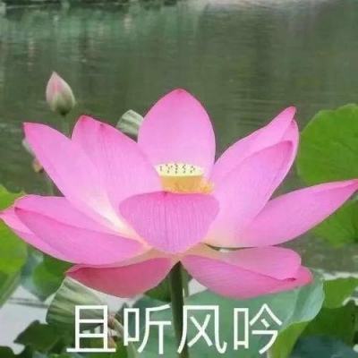 深圳疫情源头未明 当地入京航班全部取消